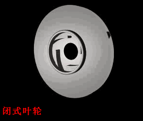 離心泵葉輪動態圖